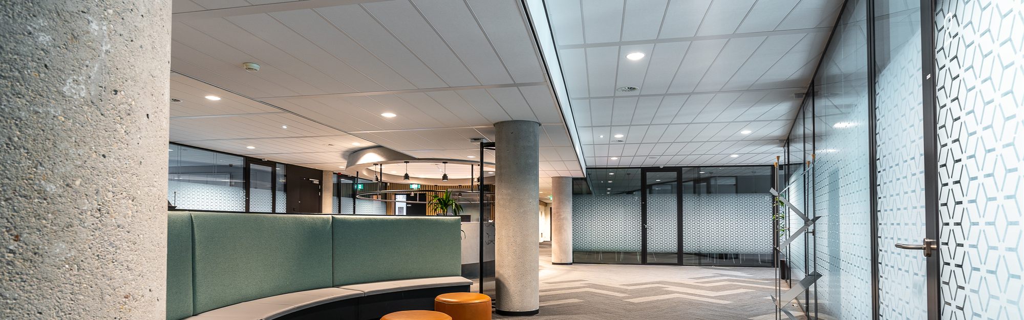 A modern open-plan office workspace